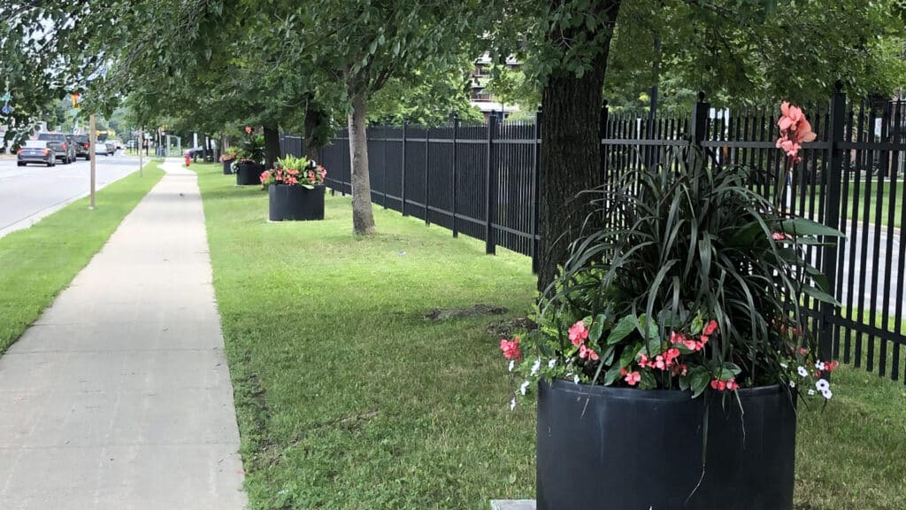 Sidewalk and flower planter in Waterdown Village