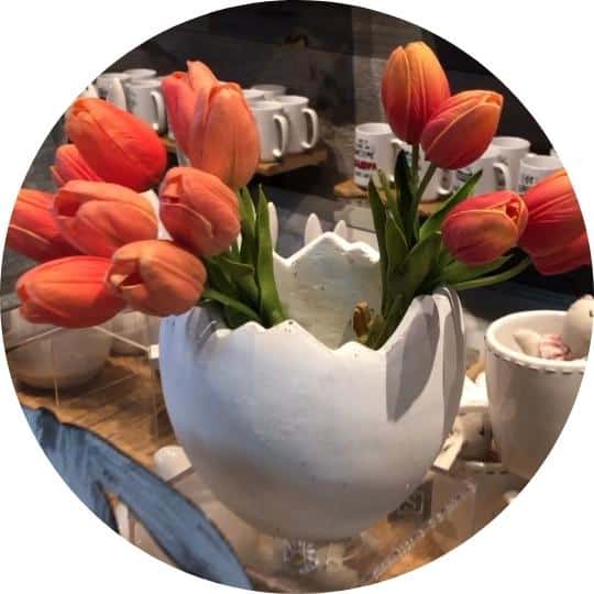 tulips in a cracked egg flower pot
